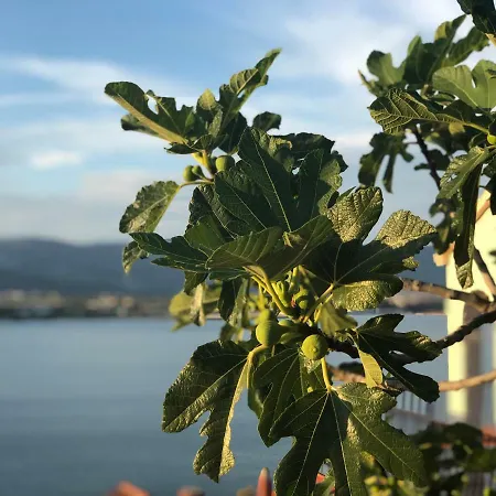 Garden Near Trogir, With Swimming Pool And Barbecue Area